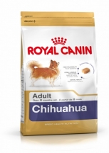 Chihuahua