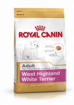 West Highland White Terrier