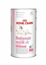 Leche Materna Para Gatos Babycat