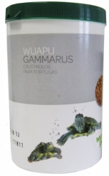Wuapu Gammarus