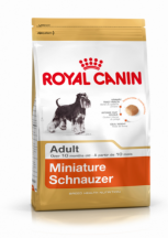 Schnauzer Miniature