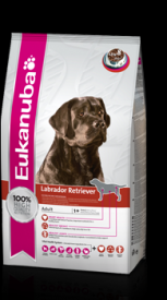 Eukanuba Labrador