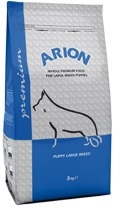 Arion Puppy Raza Grande