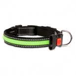 Collar Led Verde