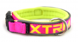 Collar X-Trm Neon Flash Fucsia