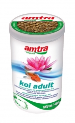 Amtra Koi Adulto